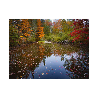 Maine Fall Foliage Waterscape Fine Art Print