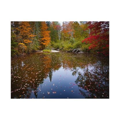 Maine Fall Foliage Waterscape Fine Art Print