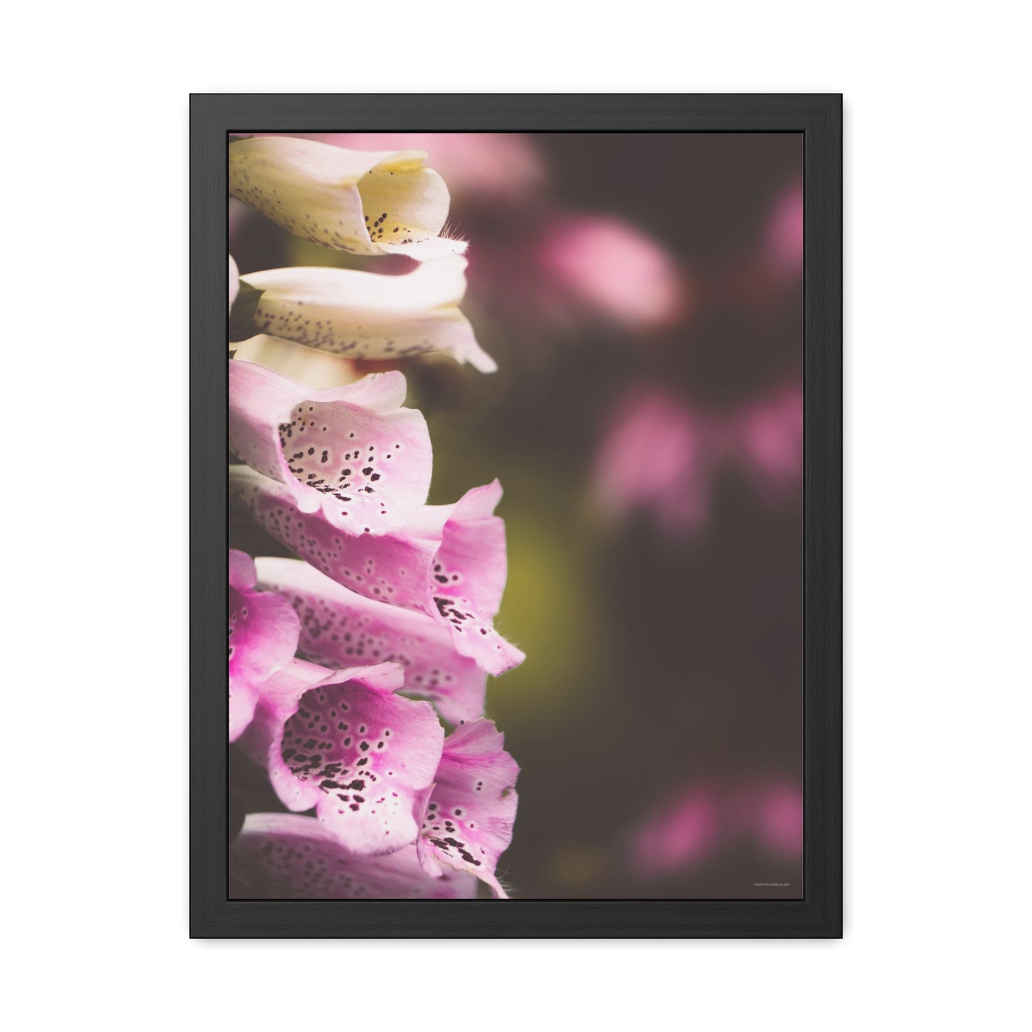 Foxglove Flowers Framed Fine Art Photograph