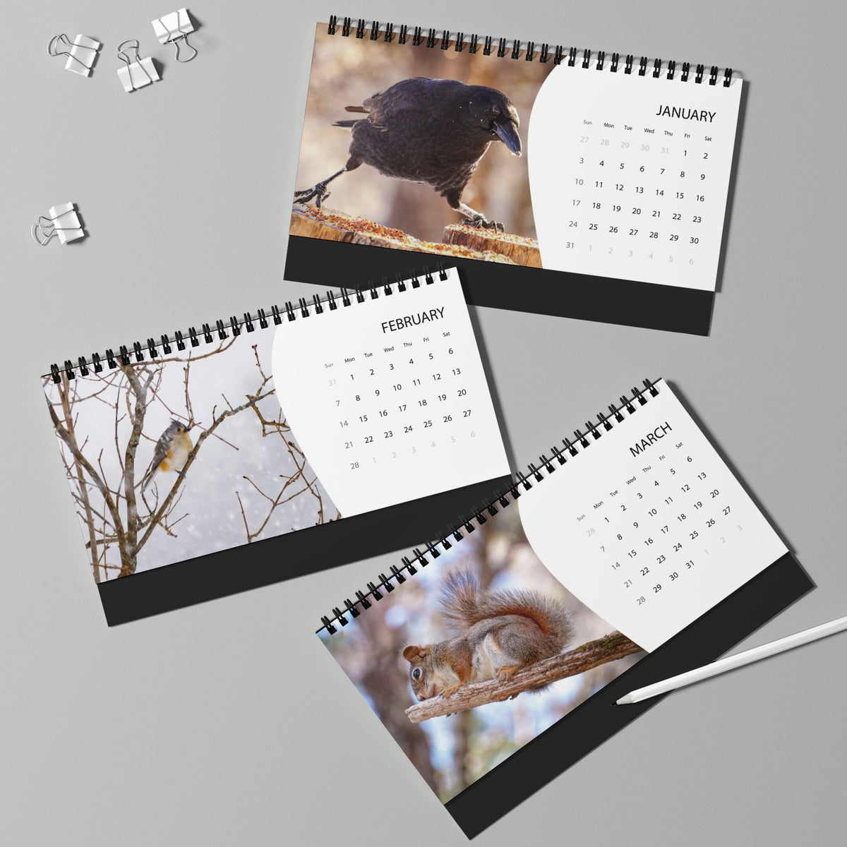 Critters of Whimsy 2027 calendar pages for January through March, featuring two bird photographs and a squirrel by Christine Grindle