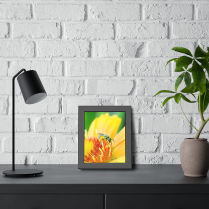 Metallic Green Bee Framed Print | Nature Photography
