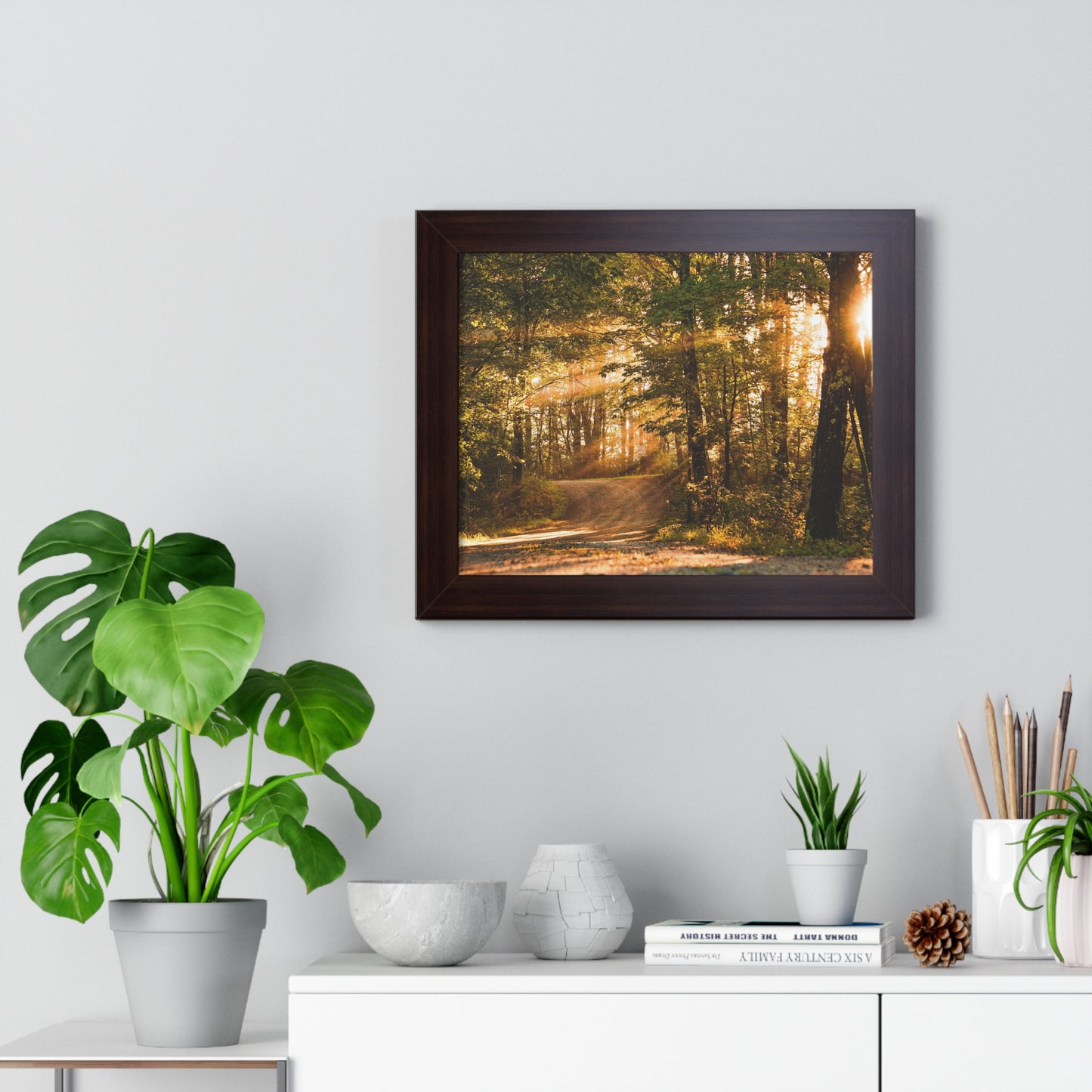 Sunbeams Streaming Onto Forest Path Framed Matte Print