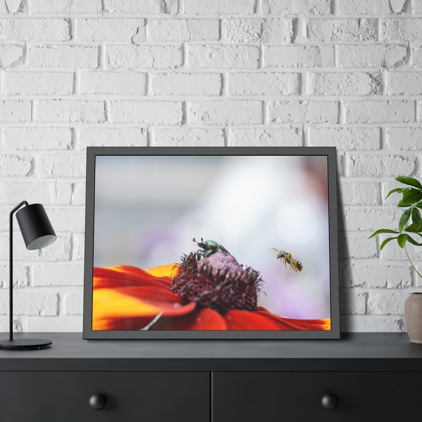 Japanese Beetle and Honey Bee Framed Print | Nature Photography