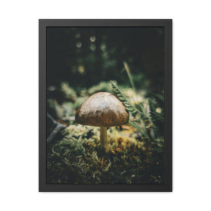 Mossy Mushroom House Framed Fine Art Photograph