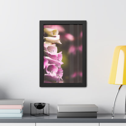 Foxglove Flowers Framed Fine Art Photograph