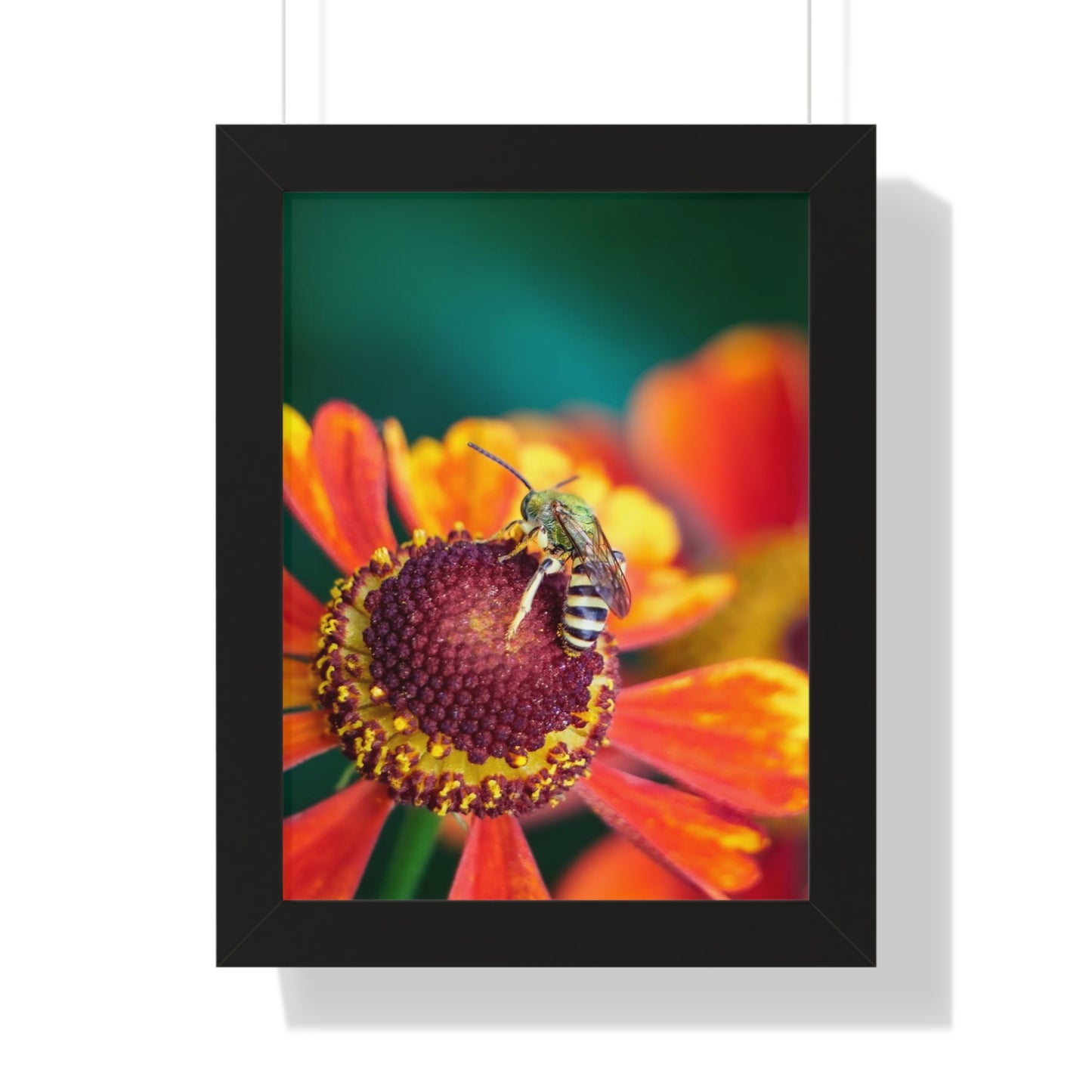 Fashionable Sweat Bee Framed Matte Print