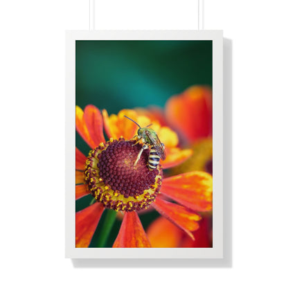 Fashionable Sweat Bee Framed Matte Print