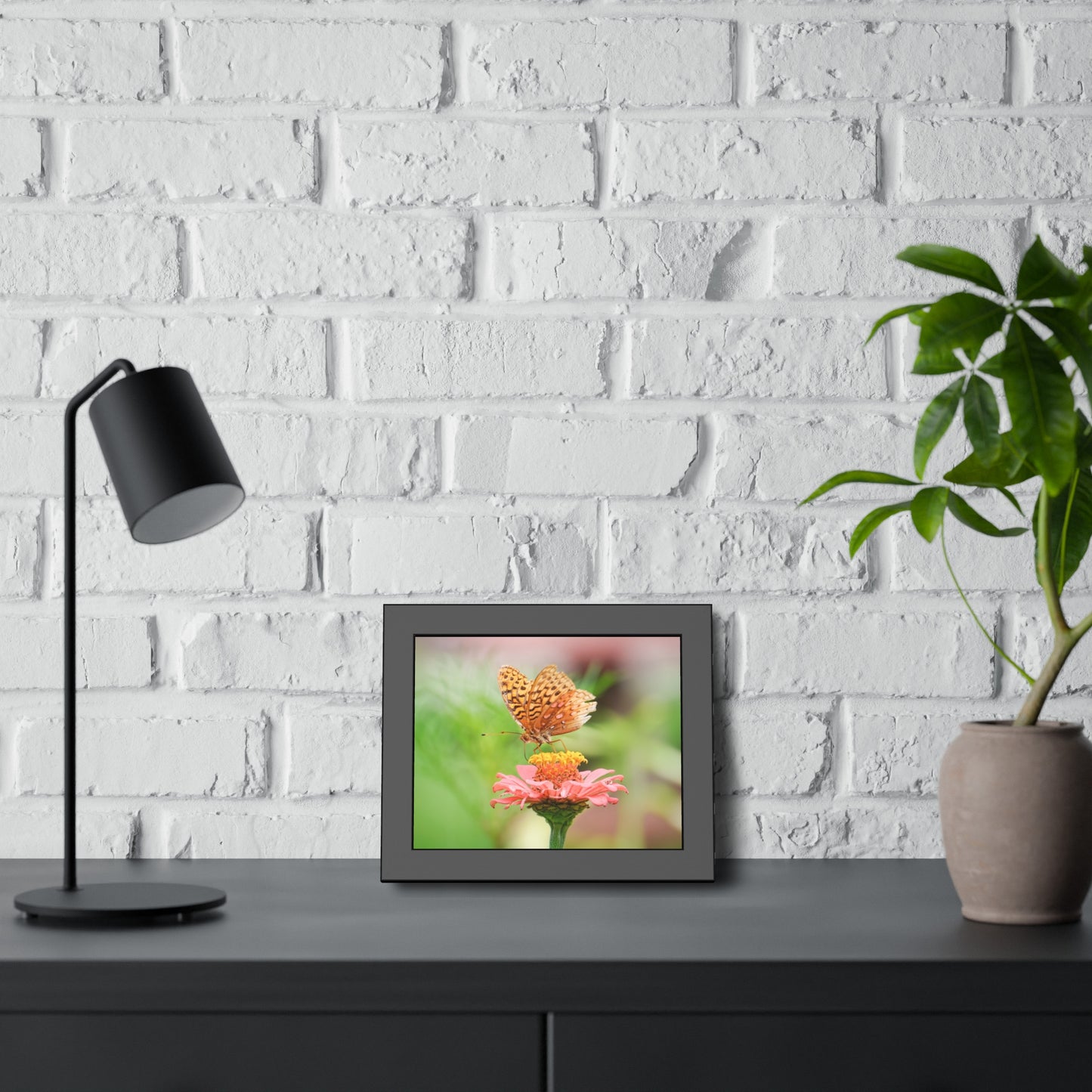 Fritillary Butterfly on Zinnia Framed Print | Nature Photography