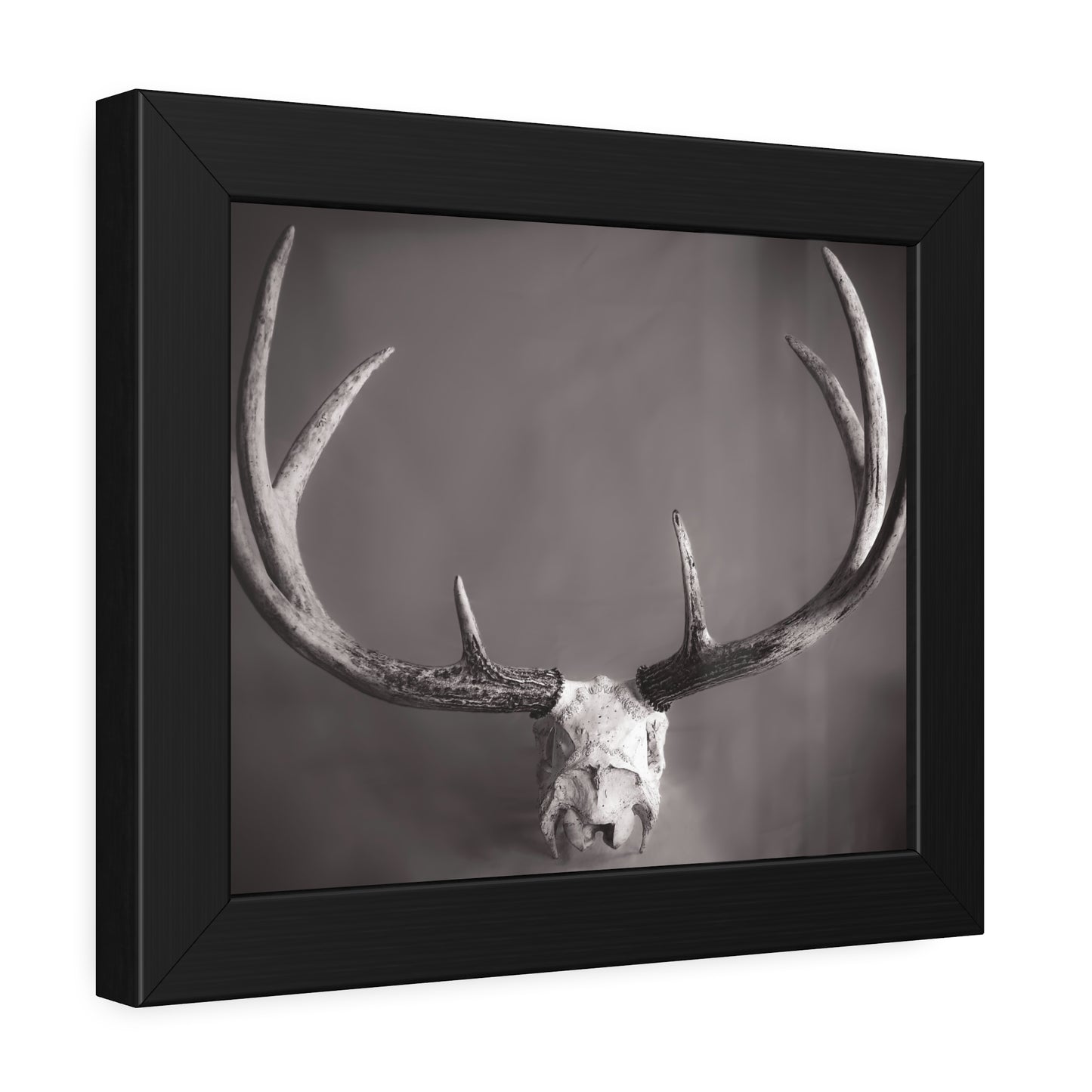Ghosts of Deers Past Framed Print | Nature Photography