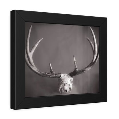Ghosts of Deers Past Framed Print | Nature Photography
