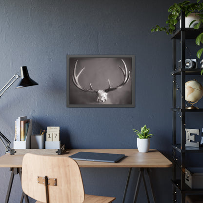 Ghosts of Deers Past Framed Print | Nature Photography