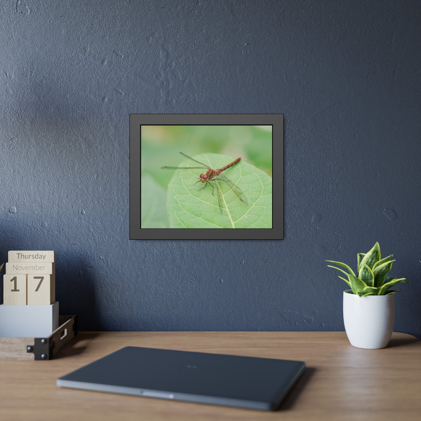 Dragonfly Poses on Leaf Framed Print | Nature Photography
