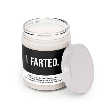 I Farted 9oz Candle (multiple scents)