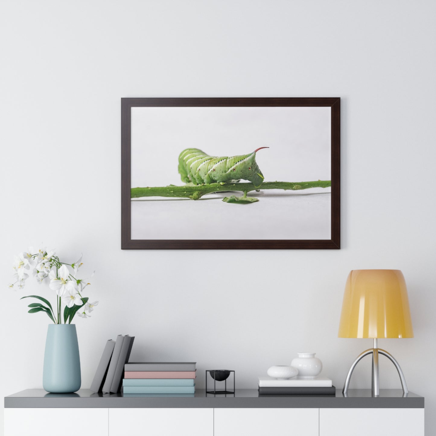 Tomato Hornworm Caterpillar Framed Matte Print