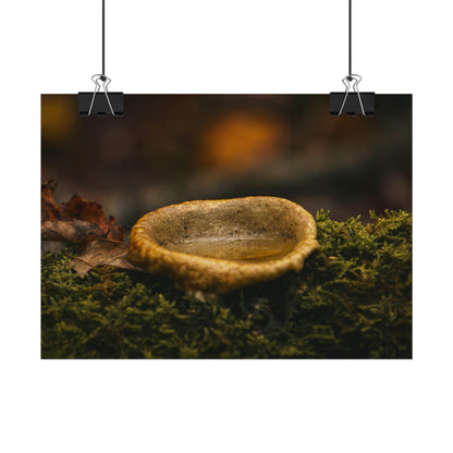 Magical Mushroom Fairy Pond Fine Art Print