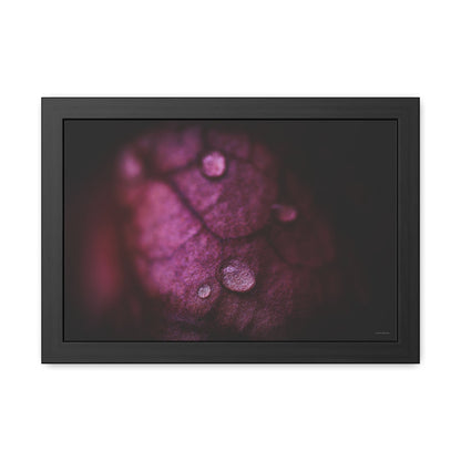 Macro Droplet on Red Leaf Framed Fine Art Photograph