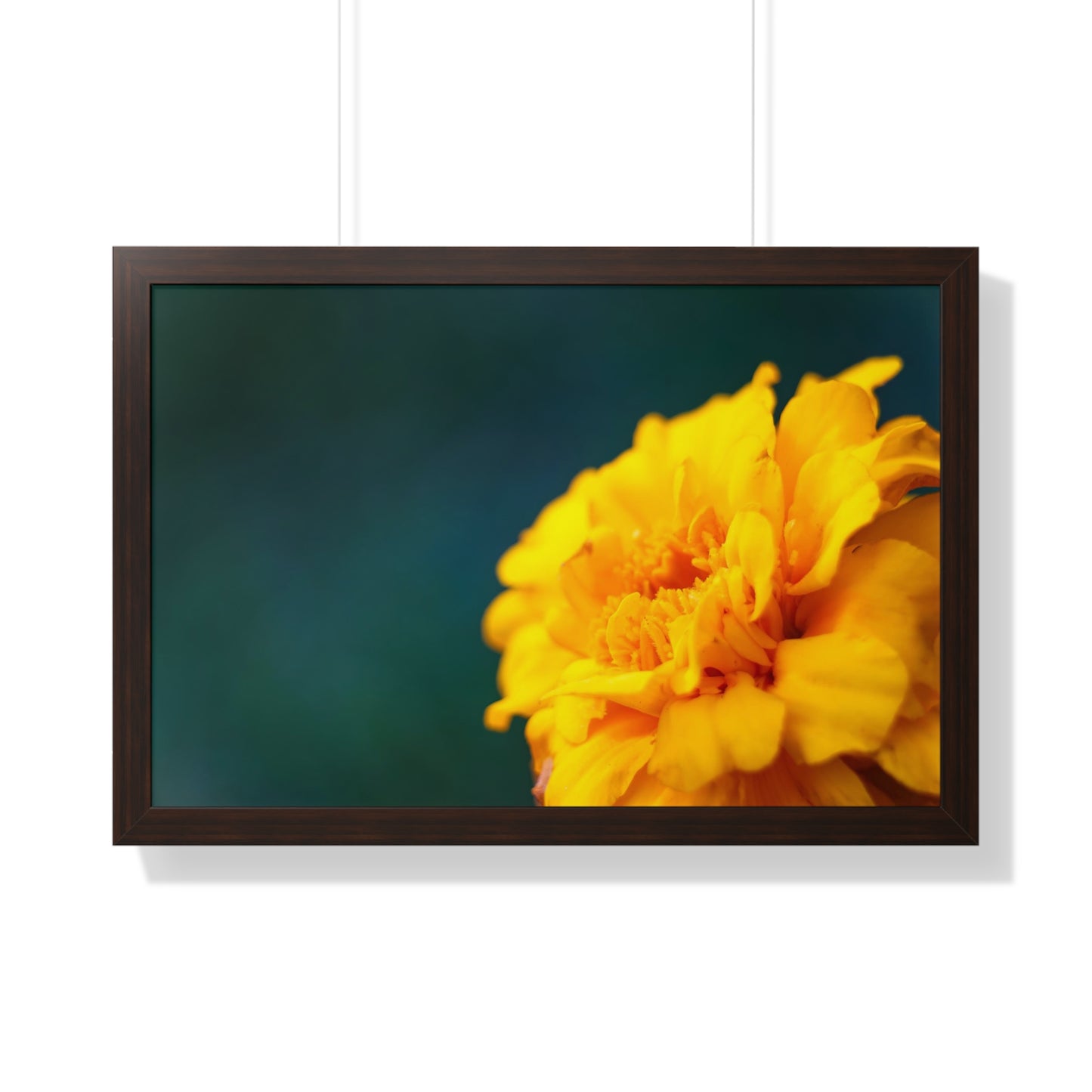 Macro Marigold Flower Framed Matte Print