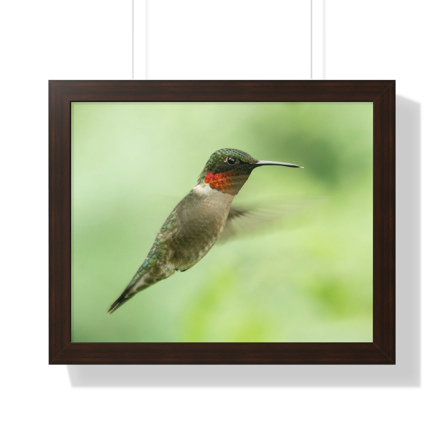 Hummingbird In-Flight Framed Matte Print