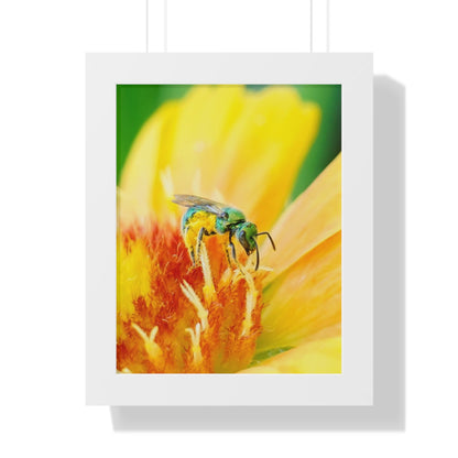 Metallic Green Bee Framed Matte Print