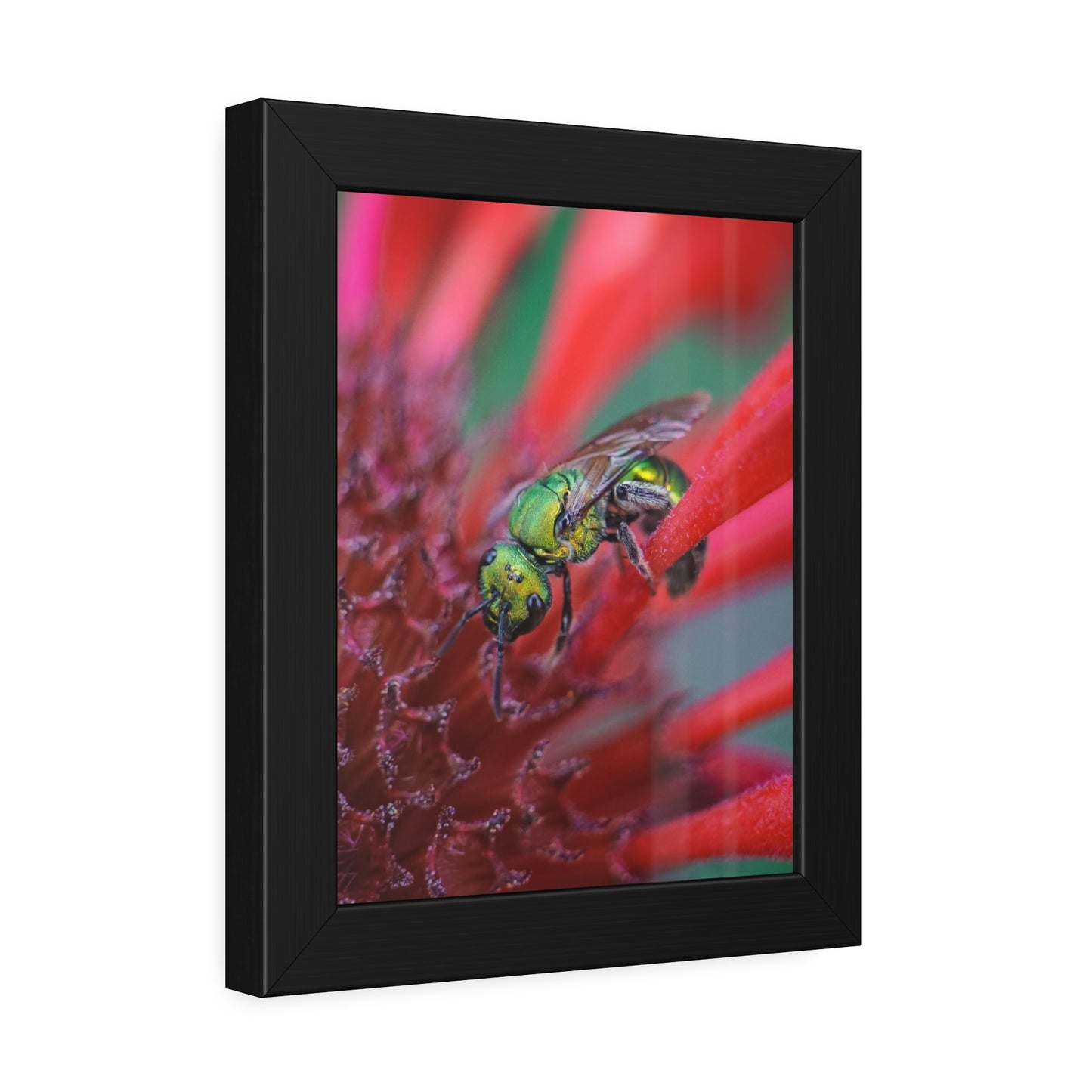 Beautiful Green Bee Framed Print | Nature Photography