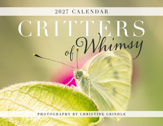 Critters of Whimsy 2027 wall calendar cover featuring a butterfly on a green leaf, photographed by Christine Grindle