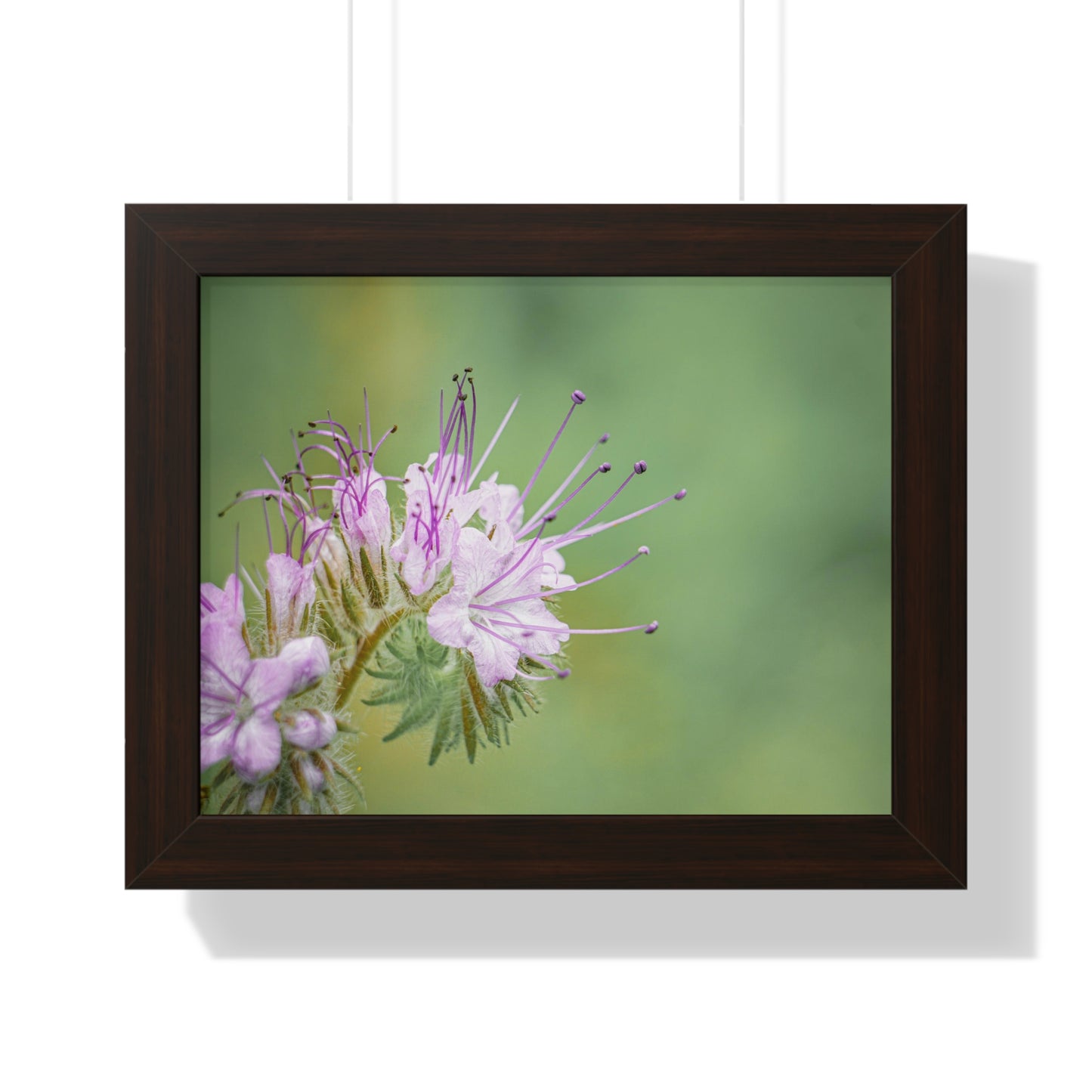 Macro Purple Wildflowers Framed Matte Print