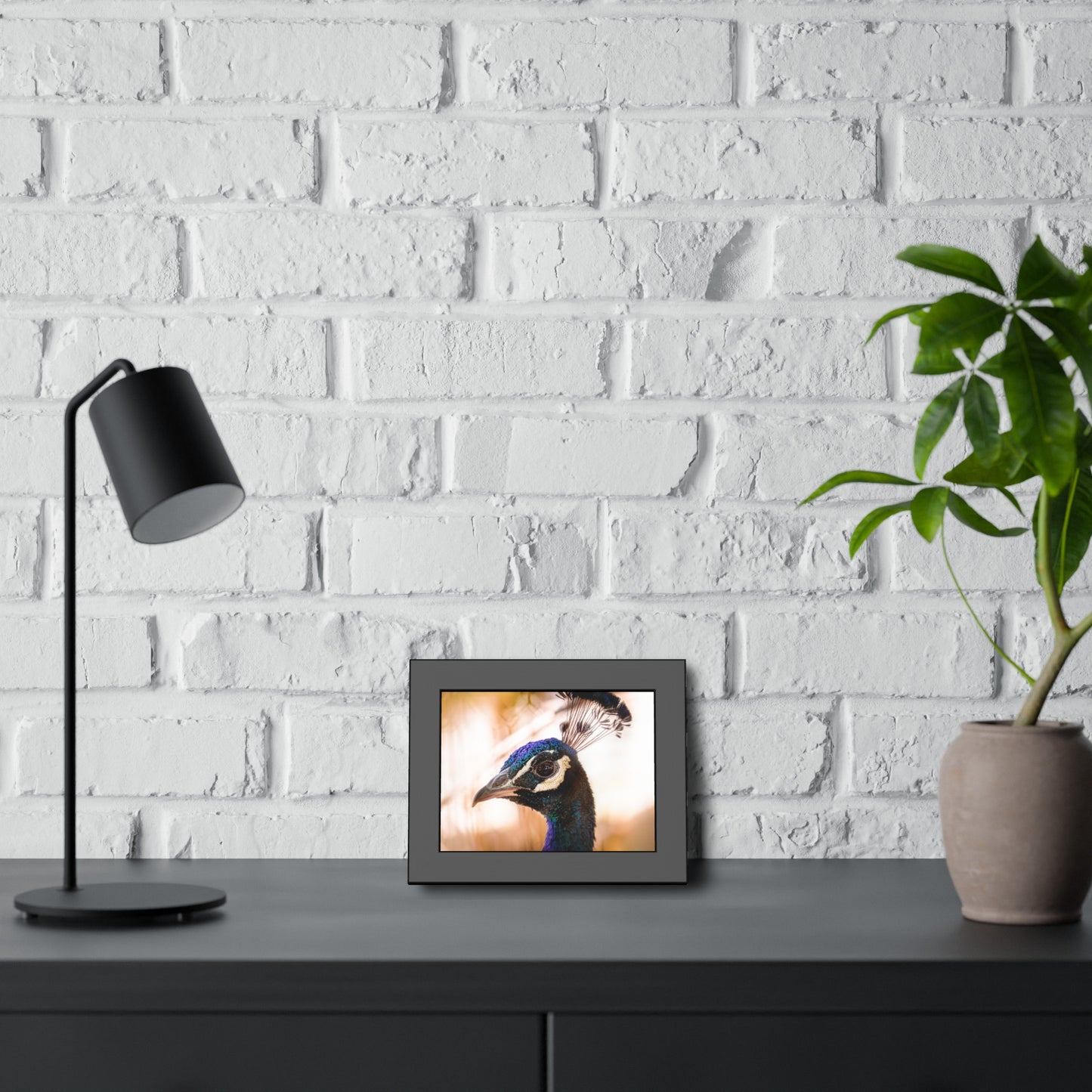 Peculiar Peacock Framed Print | Nature Photography