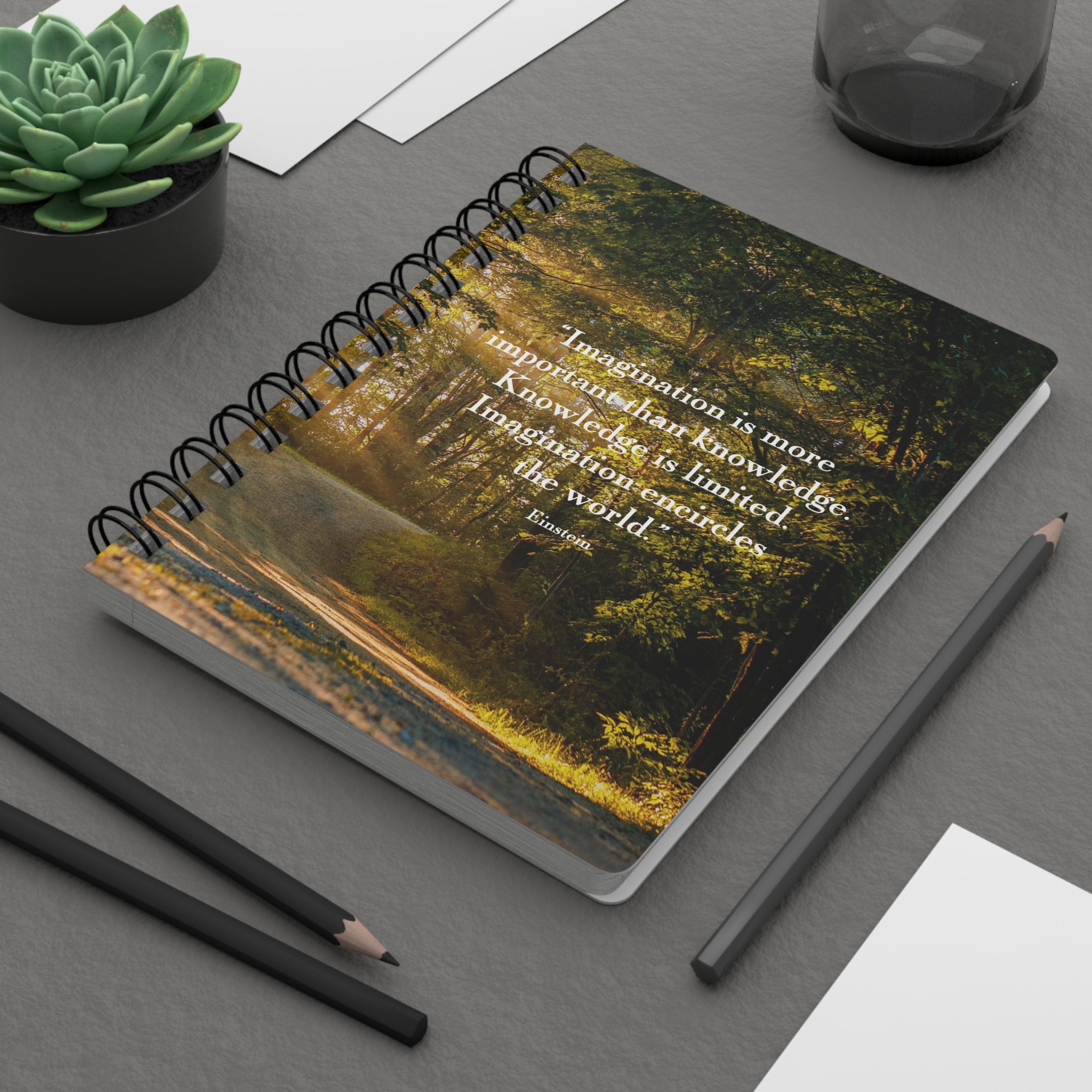 Einstein Imagination Quote Spiral Bound Lined Notebook Terra Conserva Einstein imagination quote spiral bound lined notebook terra conserva