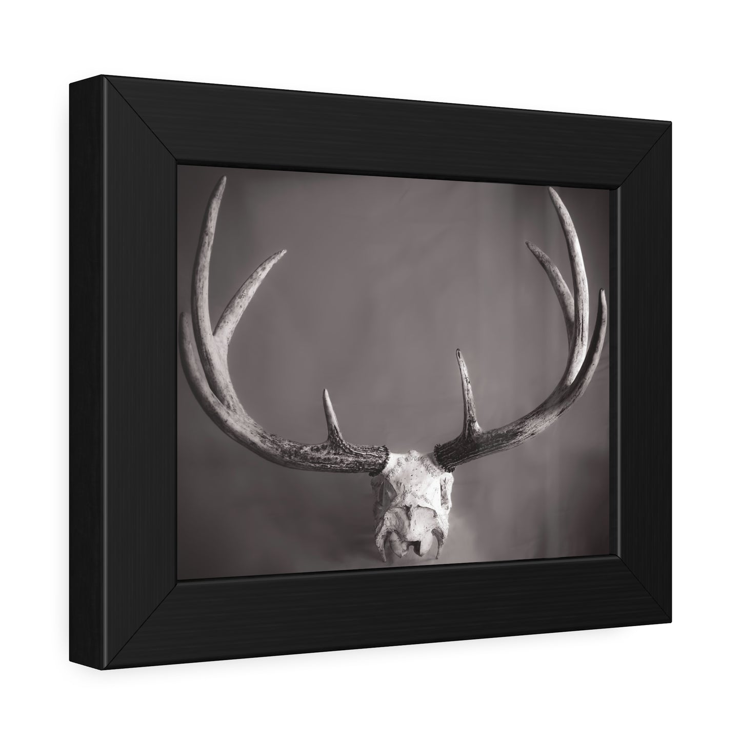 Ghosts of Deers Past Framed Print | Nature Photography