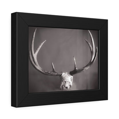 Ghosts of Deers Past Framed Print | Nature Photography