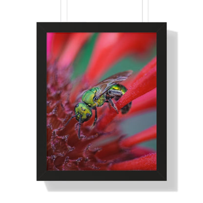 Beautiful Green Bee Framed Matte Print