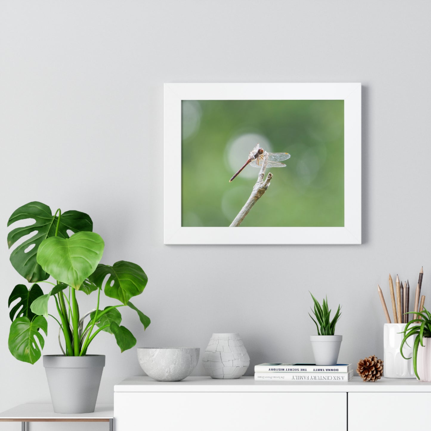 Dramatic Dragonfly Framed Matte Print