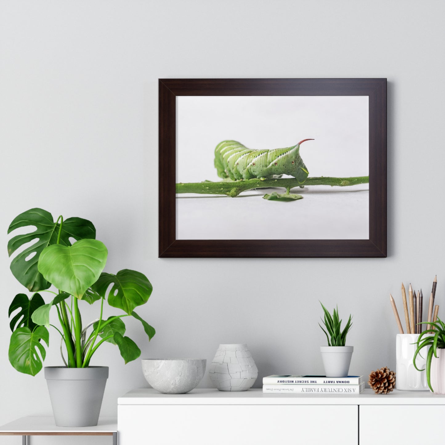 Tomato Hornworm Caterpillar Framed Matte Print