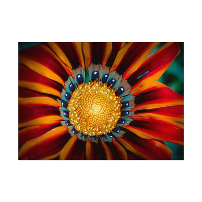 Vibrant Macro Flower Fine Art Print