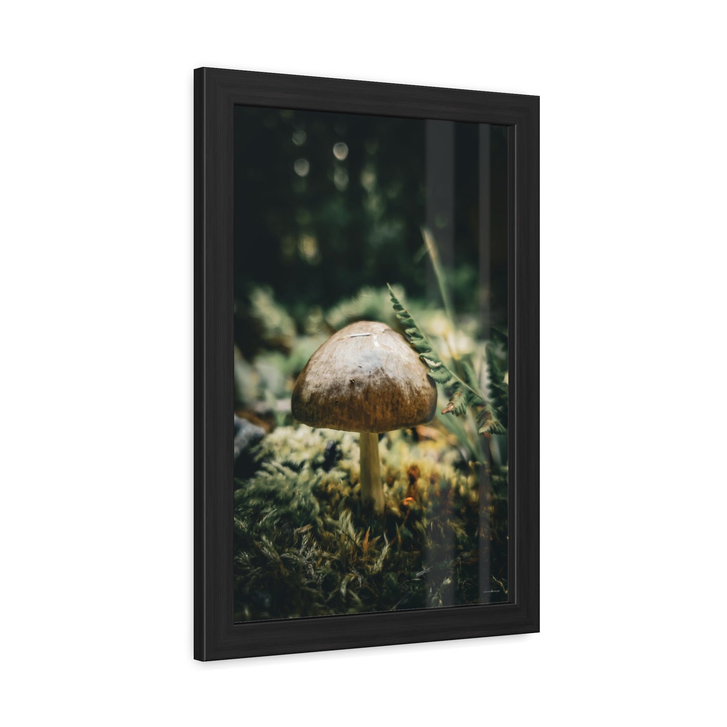 Mossy Mushroom House Framed Fine Art Photograph