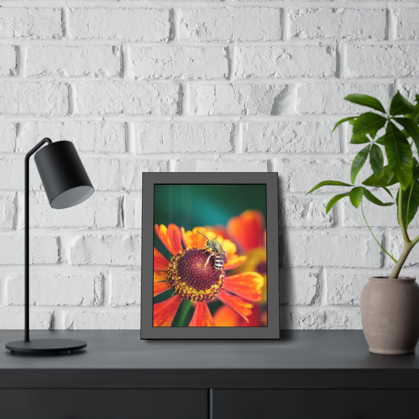 Fashionable Sweat Bee Framed Print | Nature Photography