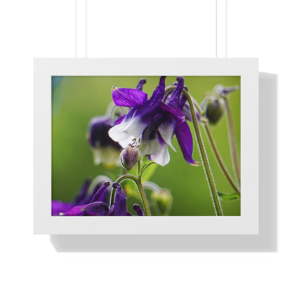 Spring Blooms Framed Matte Print