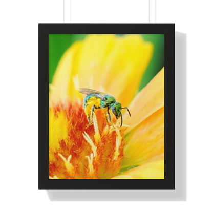 Metallic Green Bee Framed Matte Print