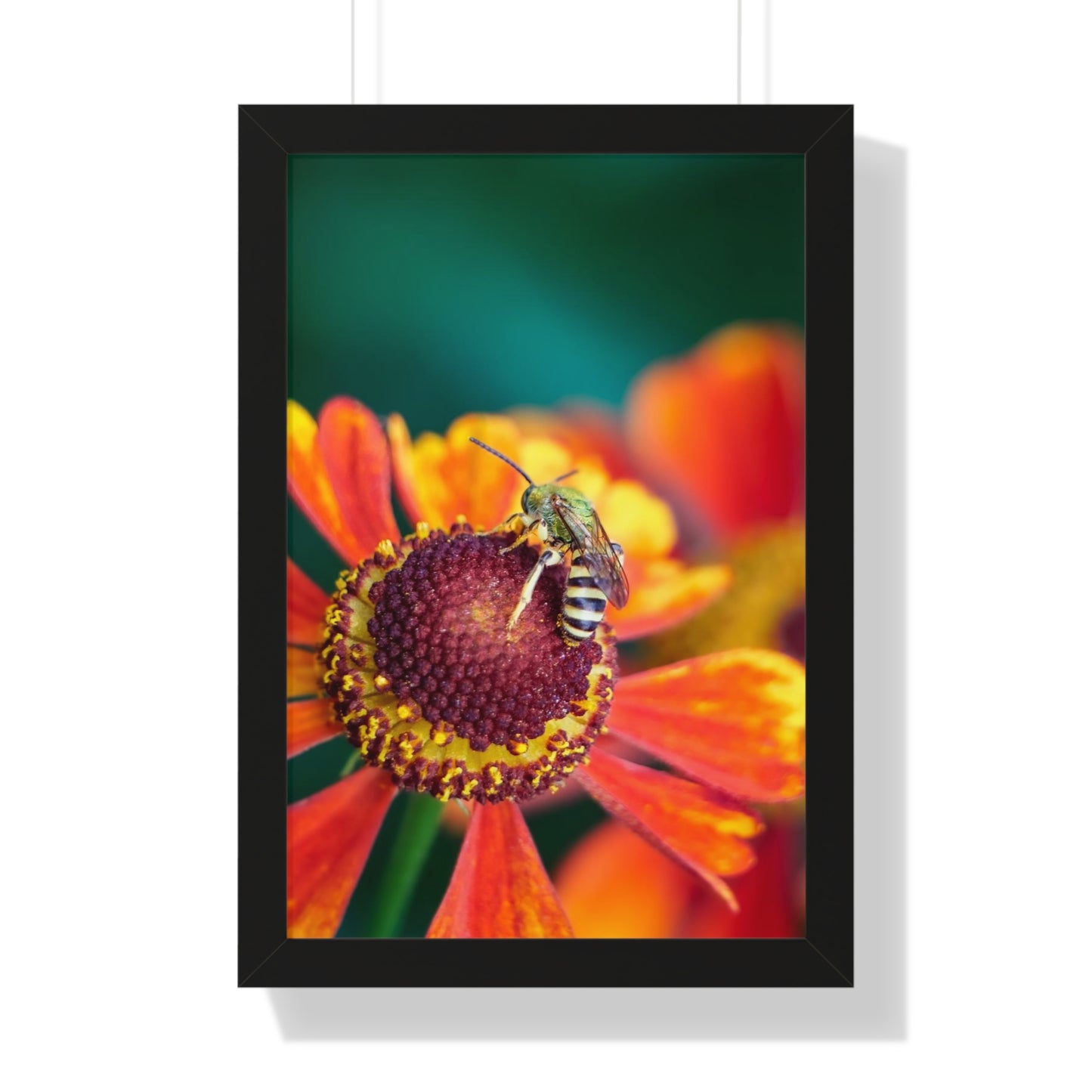 Fashionable Sweat Bee Framed Matte Print