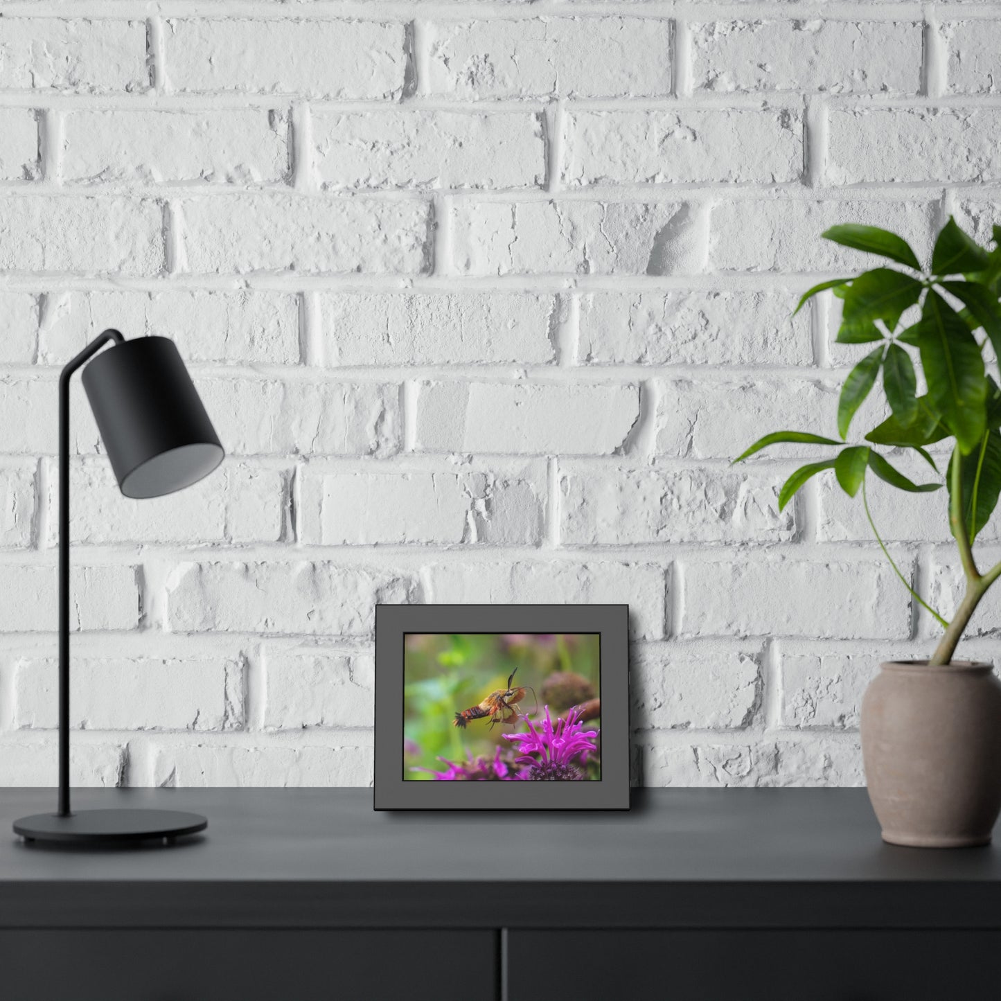 Hummingbird Moth In Flight Framed Print | Nature Photography