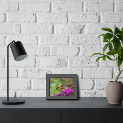 Hummingbird Moth In Flight Framed Print | Nature Photography