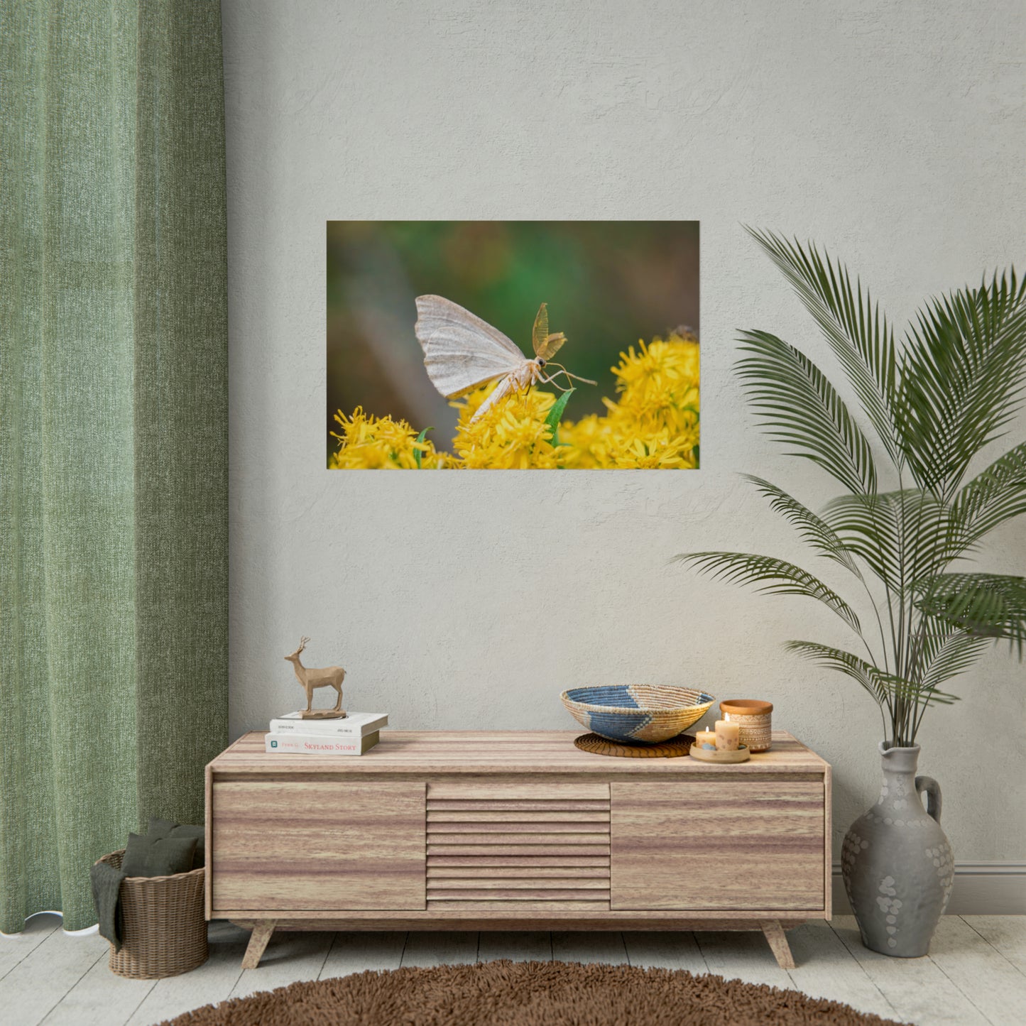 Curious Moth Fine Art Print