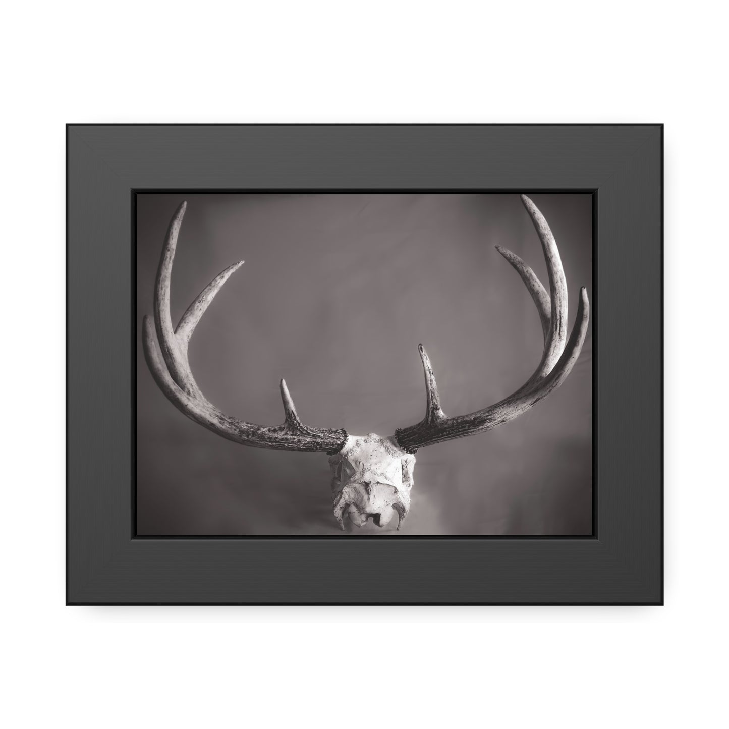Ghosts of Deers Past Framed Print | Nature Photography