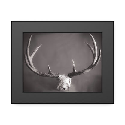 Ghosts of Deers Past Framed Print | Nature Photography