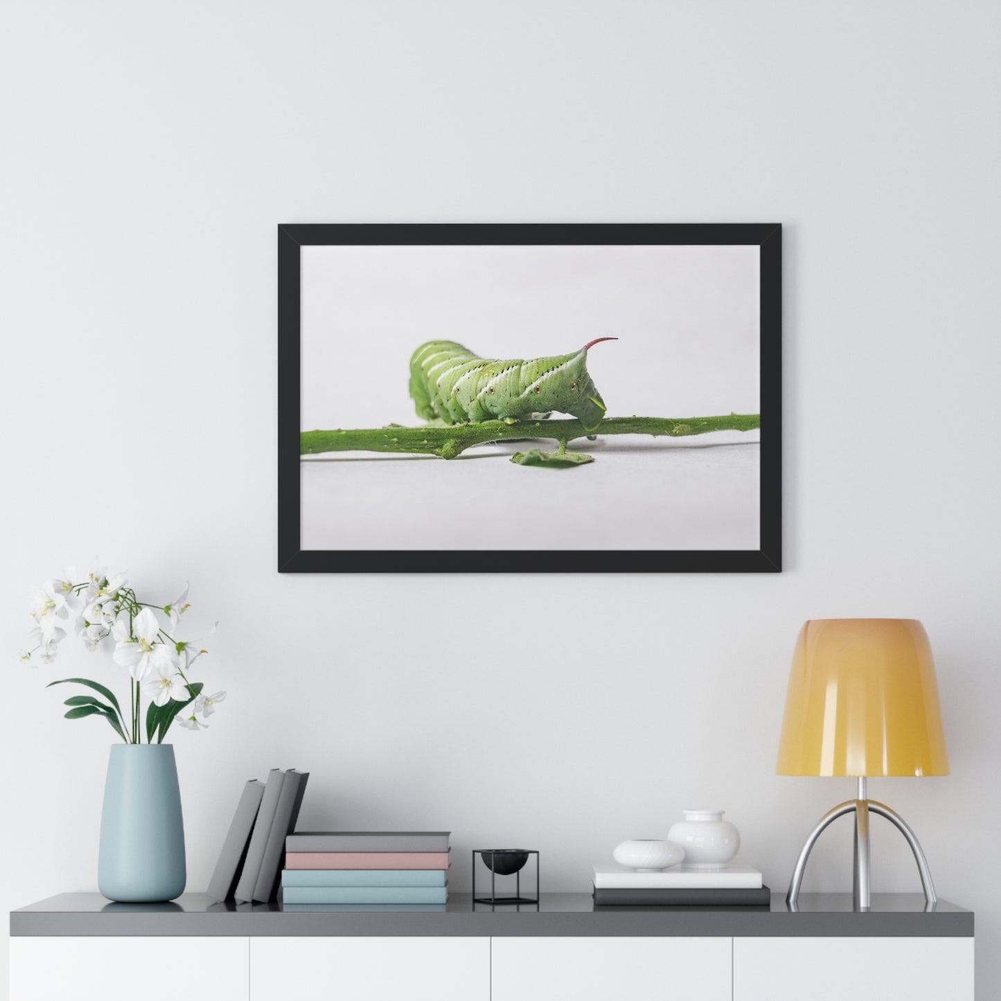 Tomato Hornworm Caterpillar Framed Matte Print