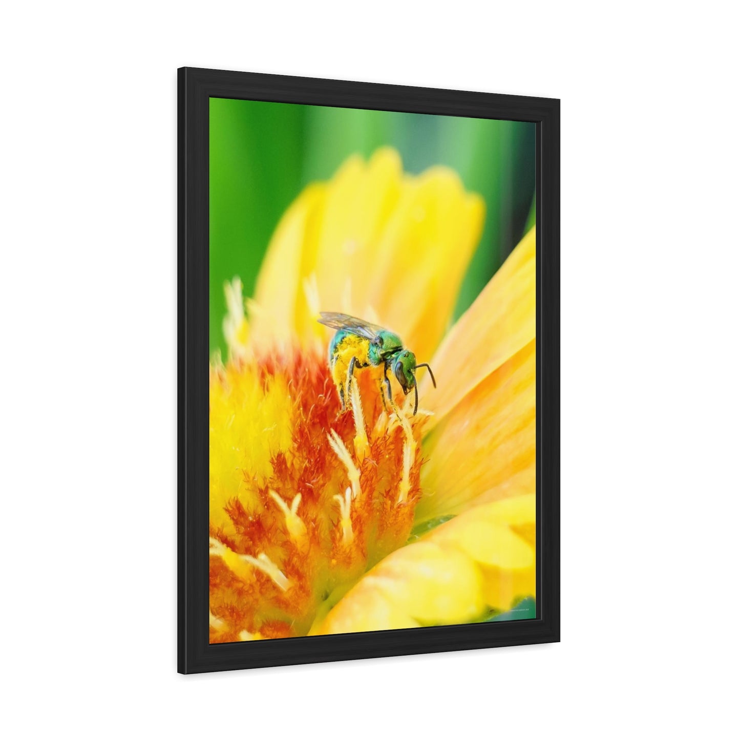 Metallic Green Bee Framed Fine Art Photograph