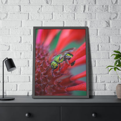Beautiful Green Bee Framed Print | Nature Photography