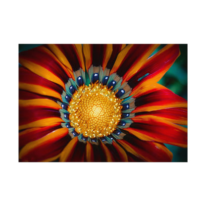 Vibrant Macro Flower Fine Art Print