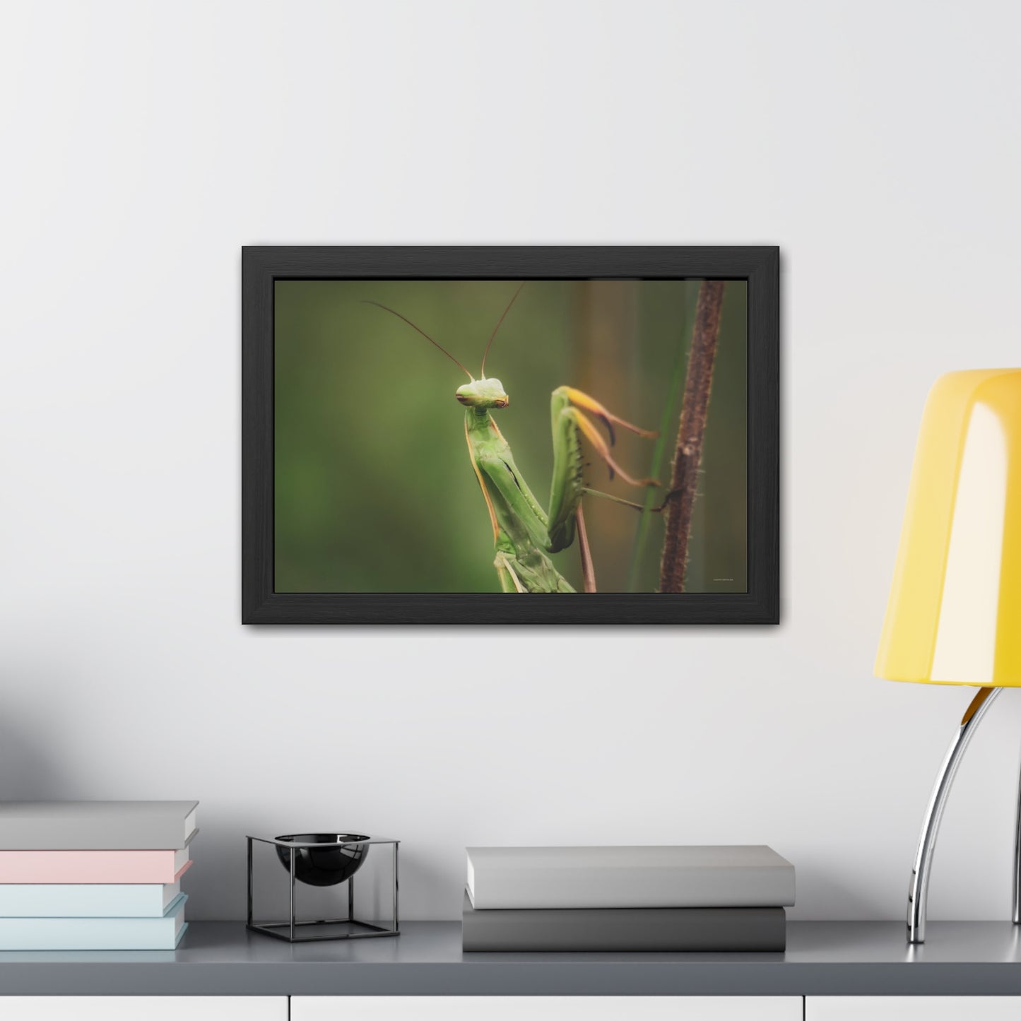 Majestic Mantis Framed Fine Art Photograph