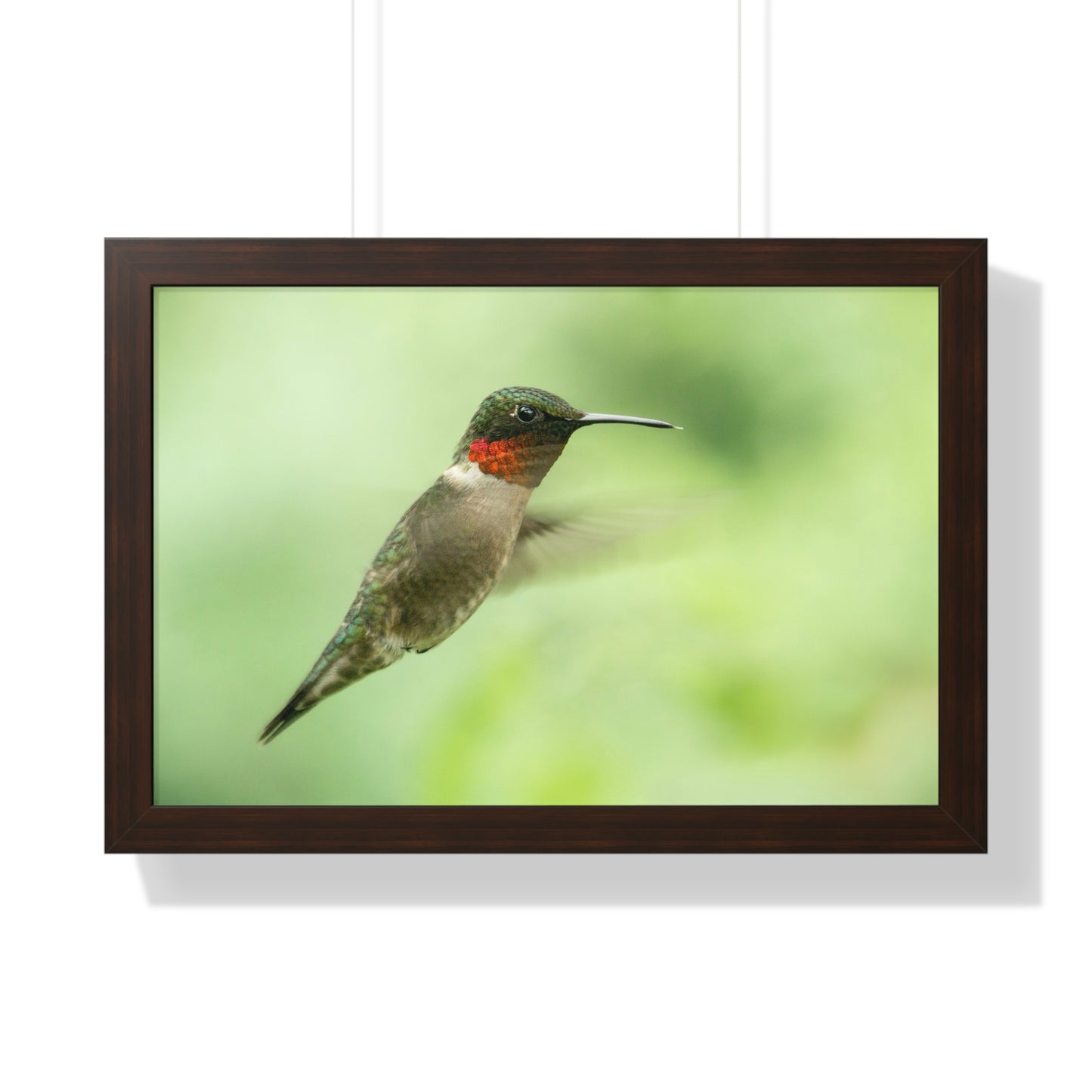 Hummingbird In-Flight Framed Matte Print